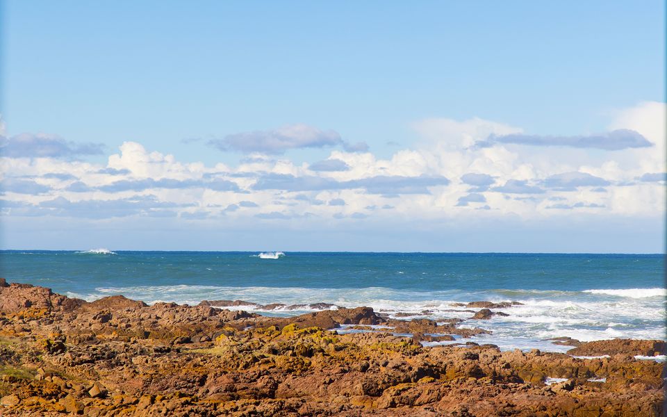 Hear the waves watch the whales Anna Bay