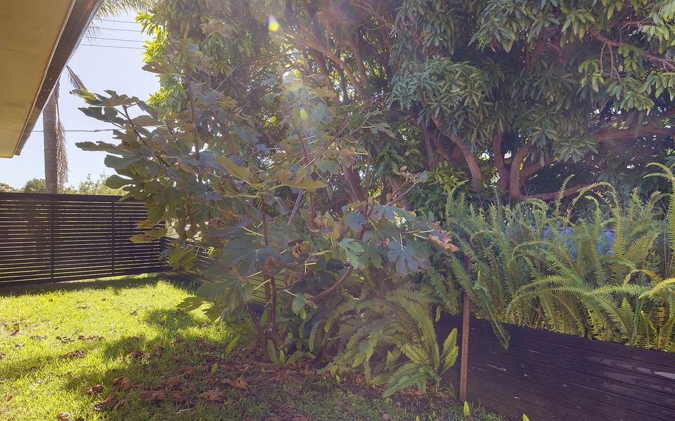 Walking Distance to Shoal Bay Beach