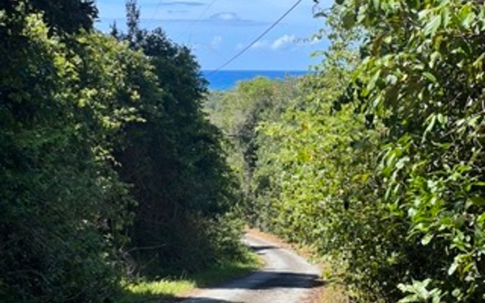 FOR REST Crescent Head