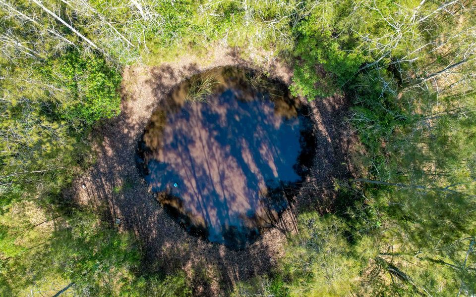 Rippa’s Rest Crescent Head