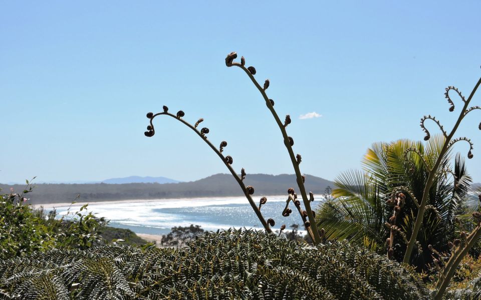 Sea Folly Crescent Head