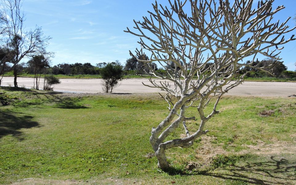 The Beach House Crescent Head