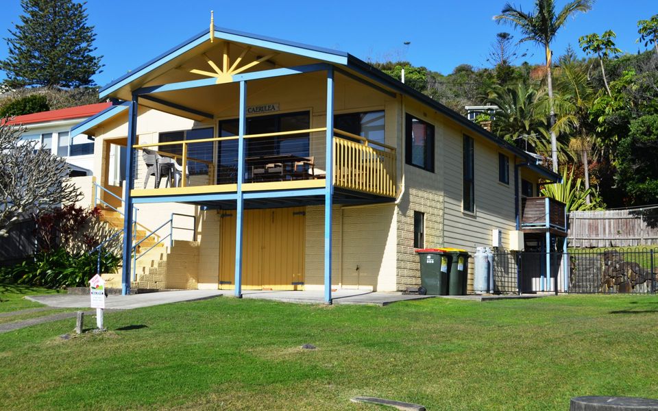 Careulea Crescent Head