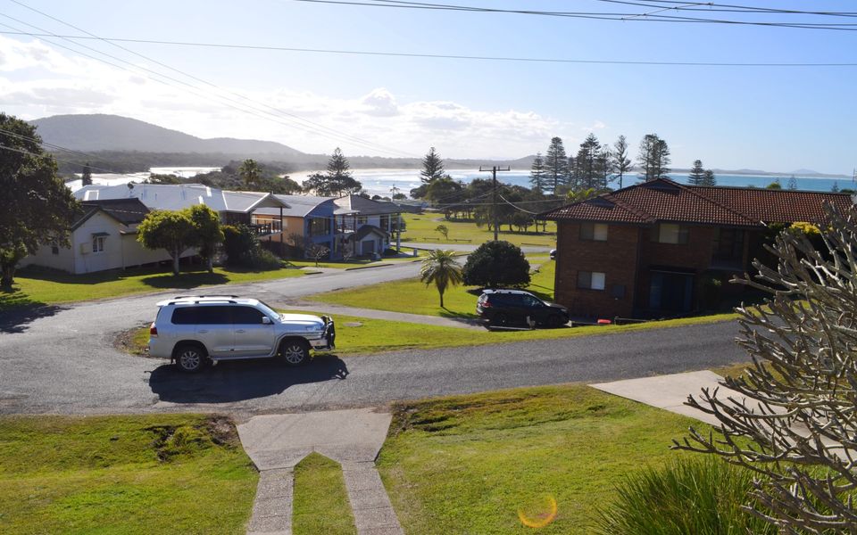 Careulea Crescent Head