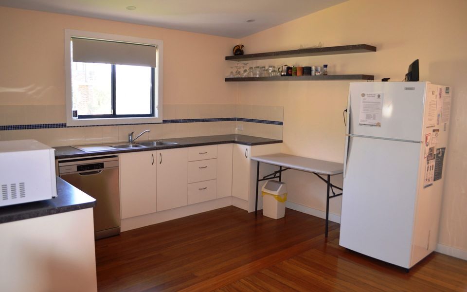 Careulea Crescent Head