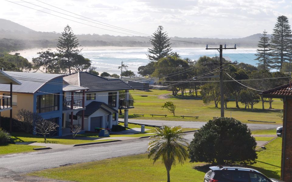 Careulea Crescent Head