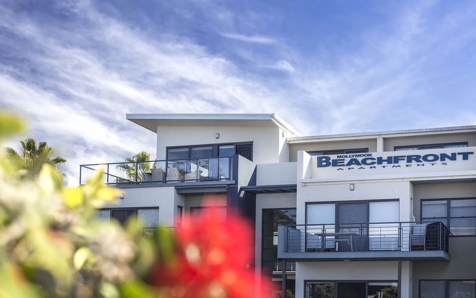 Mollymook Luxury Beachfront Apartment 10