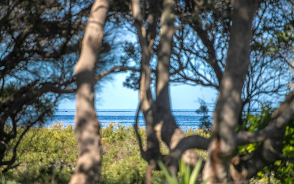 Beachfront Bliss on Mollymook Beach
