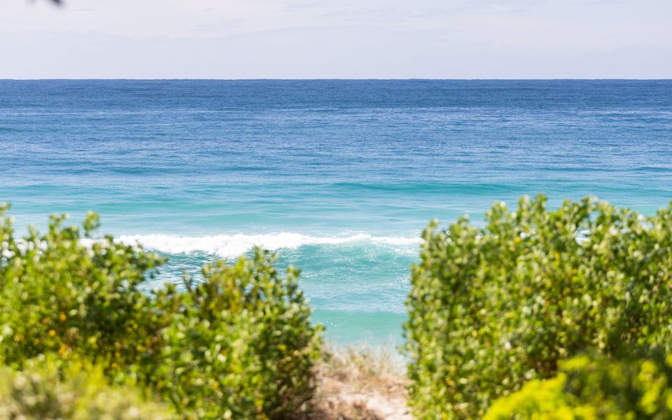 Beachfront Bliss on Mollymook Beach