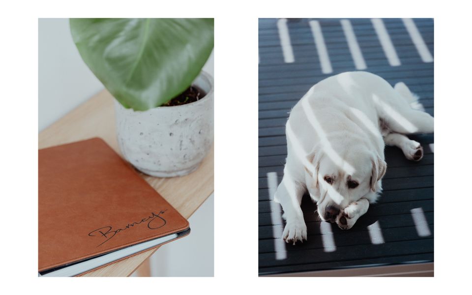 Barney’s Beach House Narrawallee