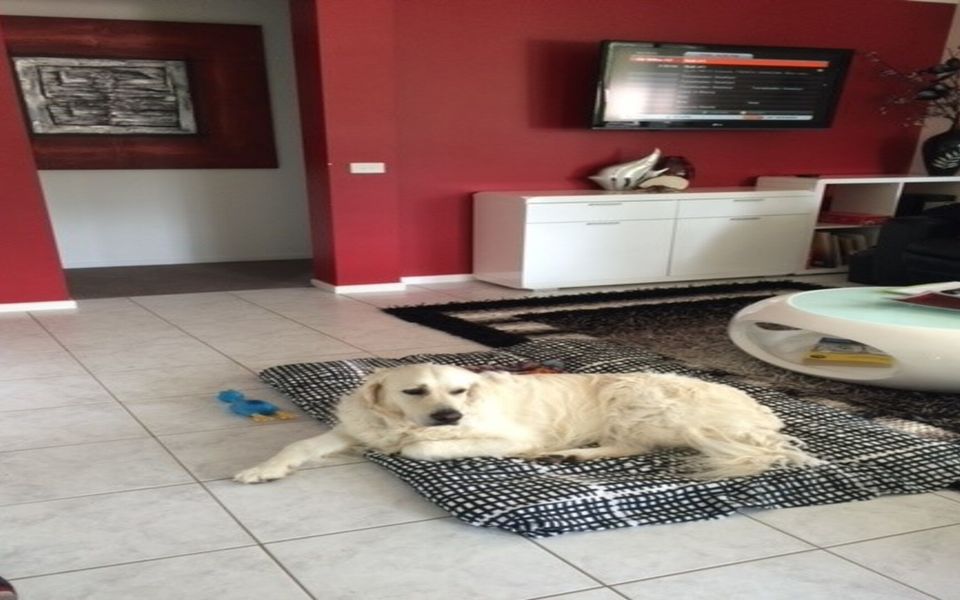 6 Barrani Place, Lilli Pilli