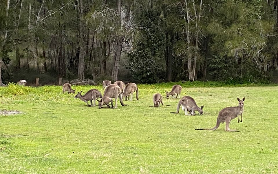 8 Borang Street, Potato Point