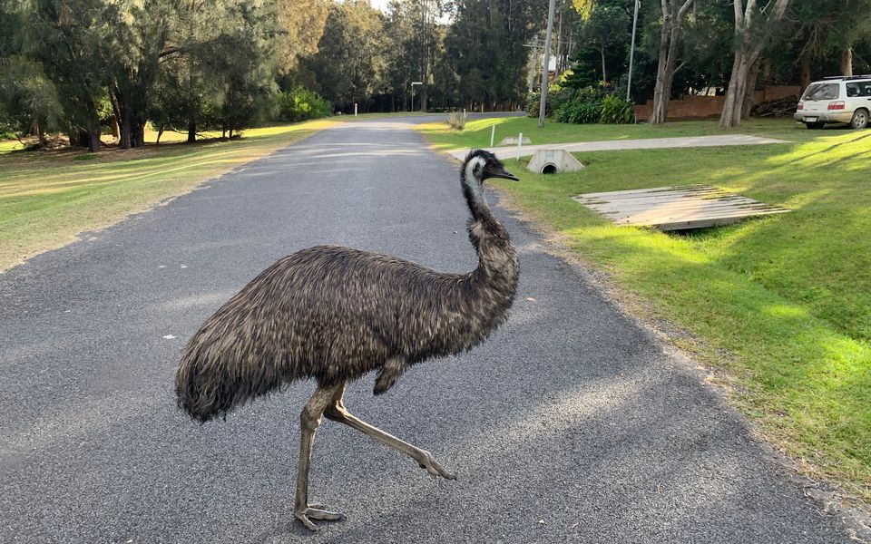 8 Borang Street, Potato Point