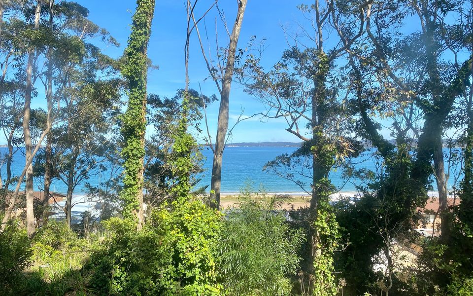 Pet Friendly Beach Bungalow