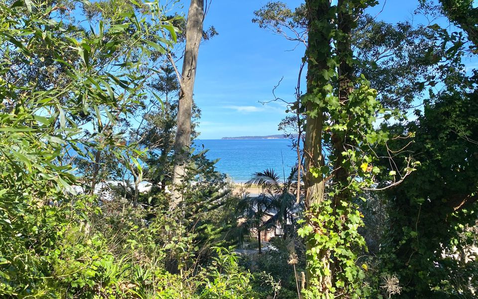 Pet Friendly Beach Bungalow