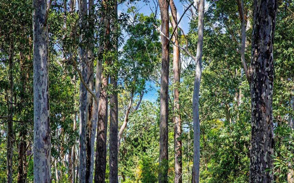 Coastal Haven in Long Beach