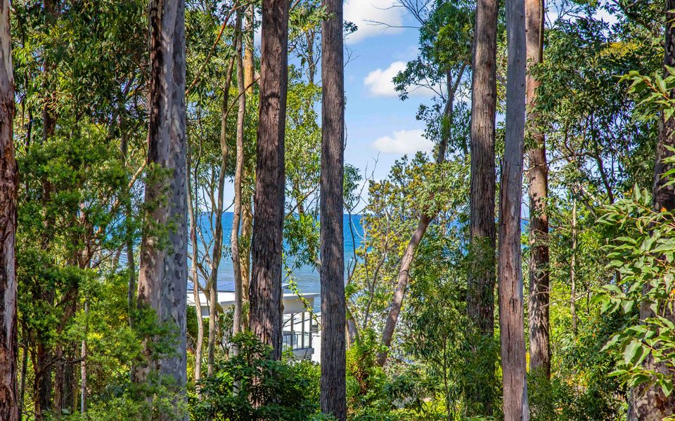 Coastal Haven in Long Beach