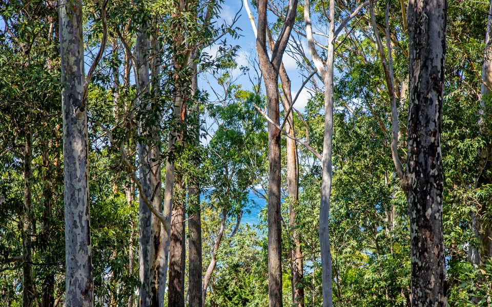 Coastal Haven in Long Beach