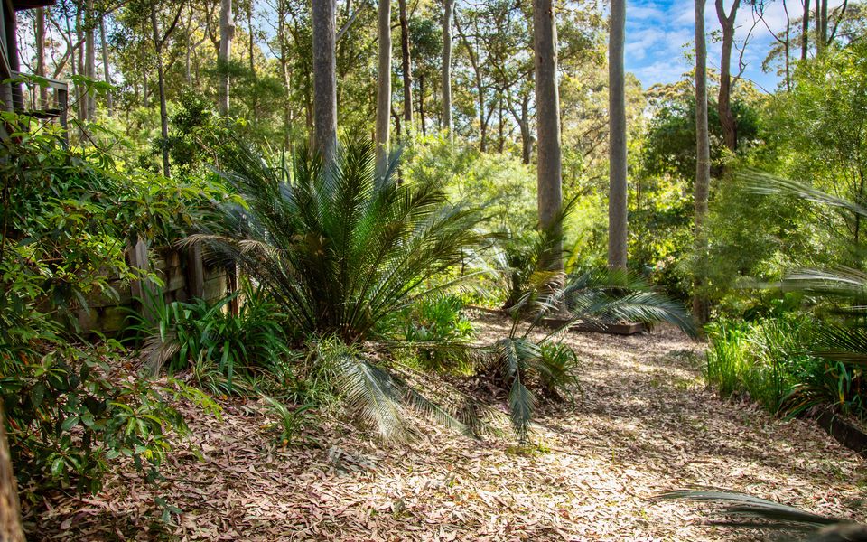 14 Lilli Pilli Road, Lilli Pilli