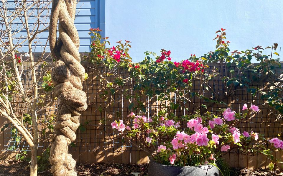 ‘Shimoda’ on Illabunda, McKenzies Beach