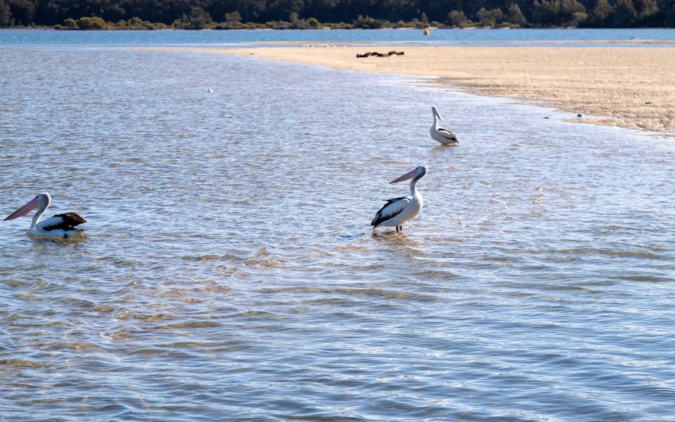 2/19-21 Grenville Avenue, Tuross Head