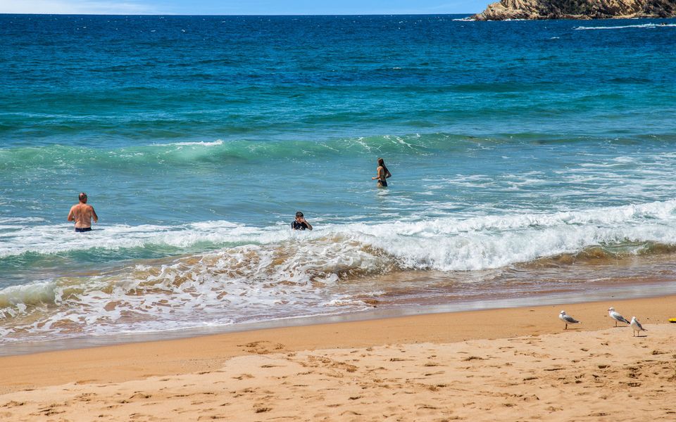 1/16 Kuppa Avenue, Malua Bay