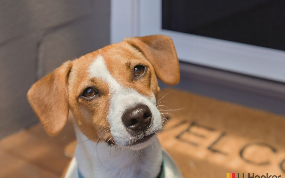 Peter Crescent Paradise