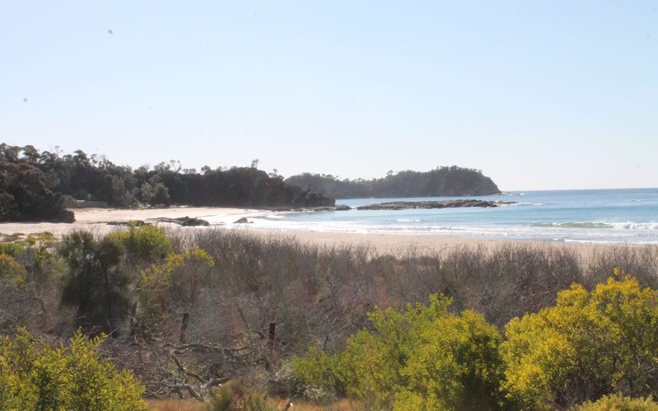 Tree Tops Retreat South Rosedale