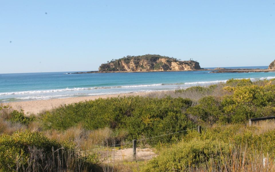 Tree Tops Retreat South Rosedale