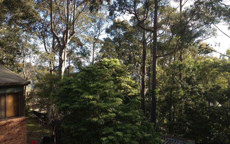 Leafy Long Beach Hideaway