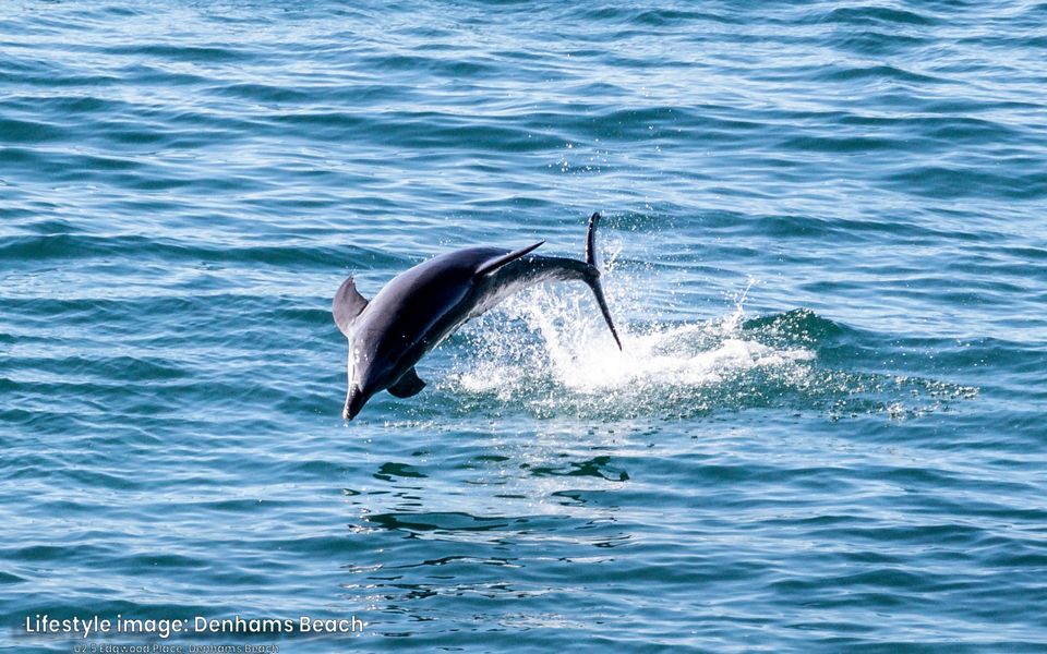 Windarra on Denhams Unit Two