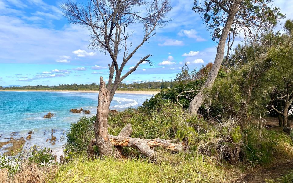 ‘Amaroo’ on Candlagan