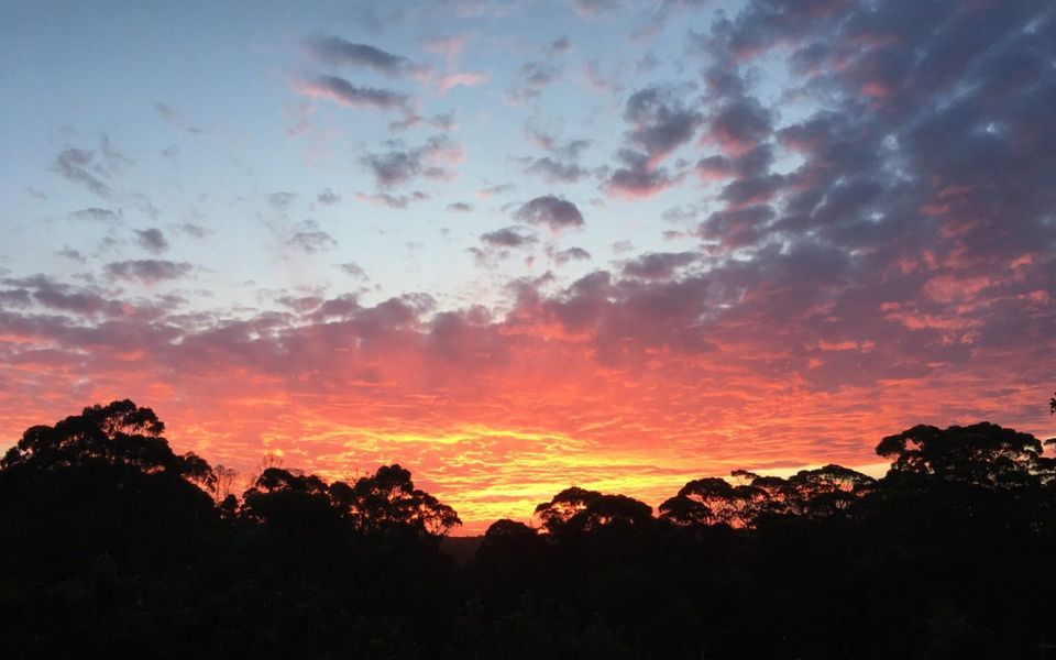 The Blue House at Durras