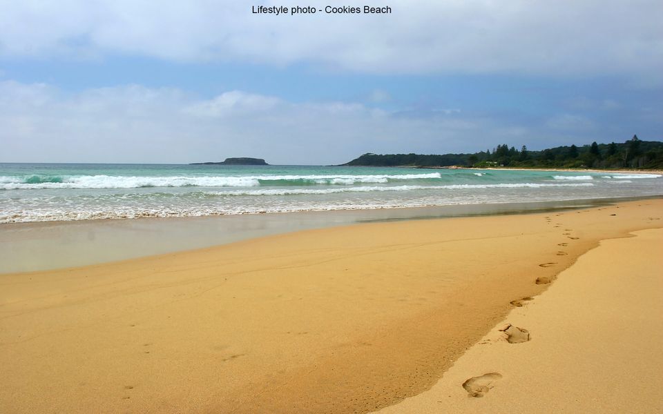 The Blue House at Durras