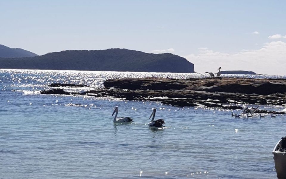 The Blue House at Durras