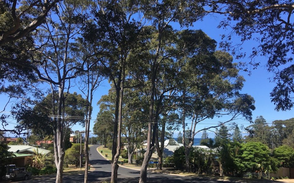 The Blue House at Durras