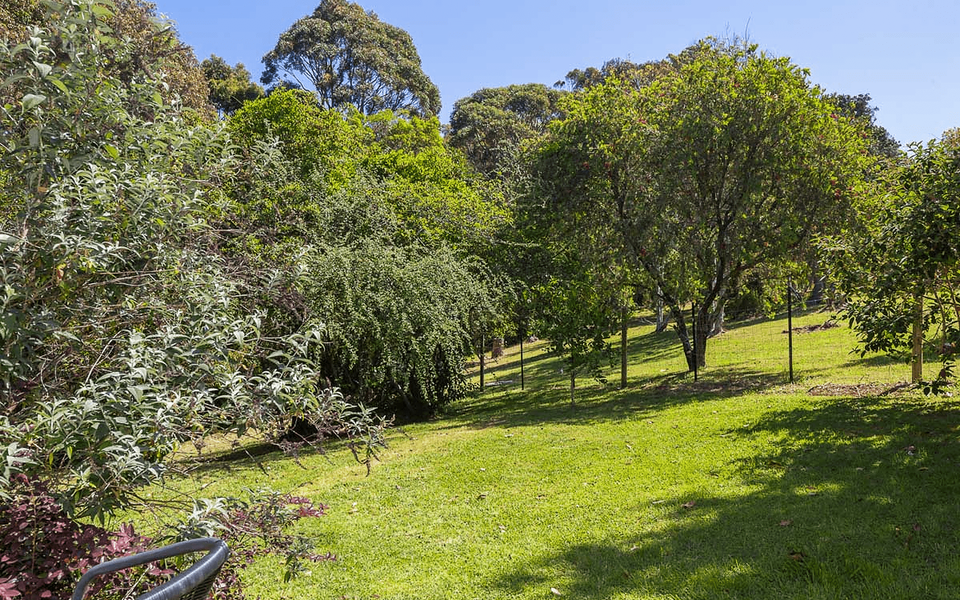 104 Tallawang Avenue, Malua Bay