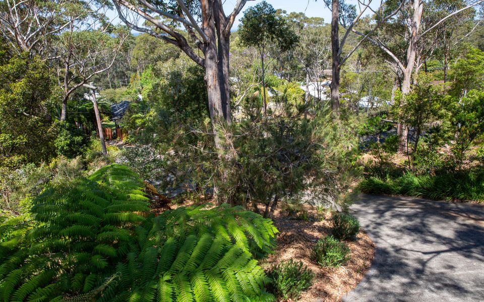 The Treehouse Vincentia