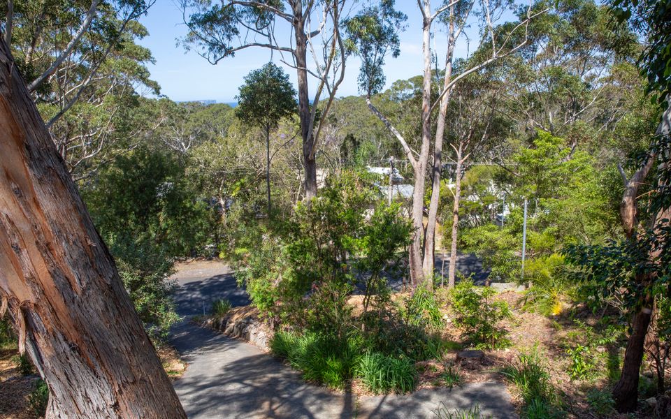 The Treehouse Vincentia