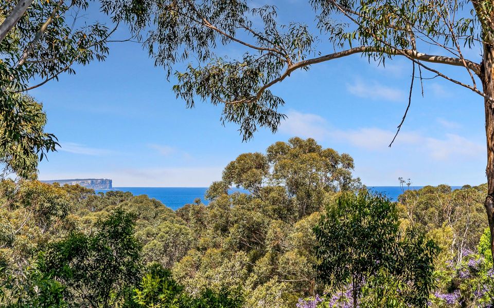 The Treehouse Vincentia