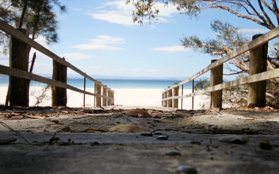 The Treehouse Vincentia