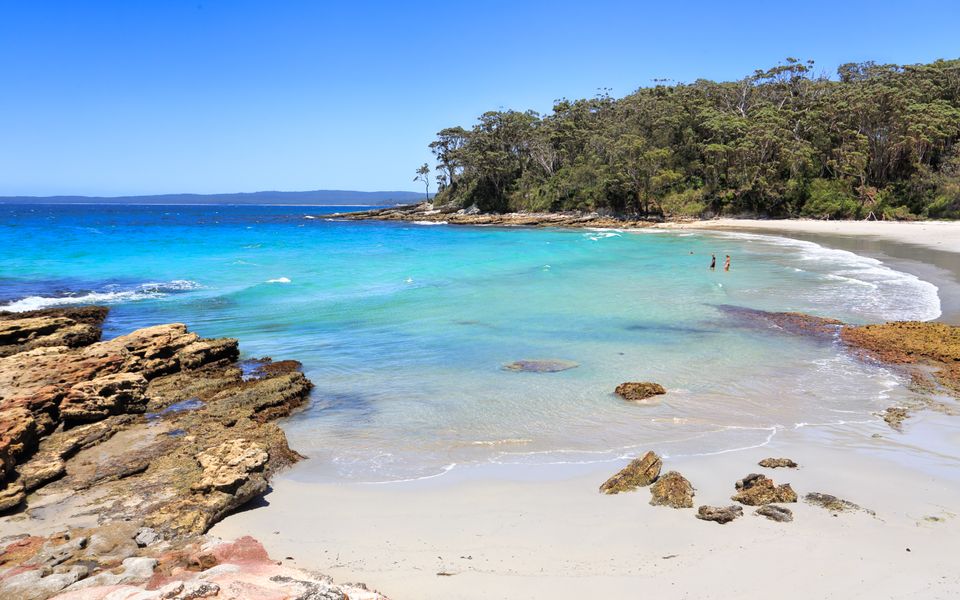 The Treehouse Vincentia