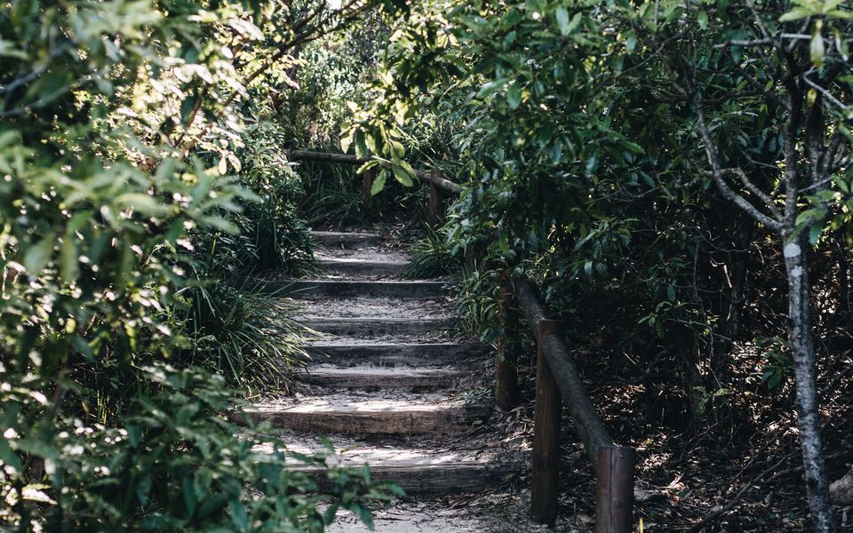 Hyams Beachfront Shack