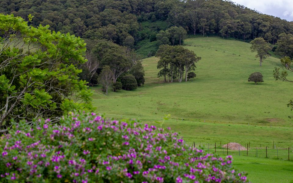 The Byres – Quaint Country Cottage with EV Charger