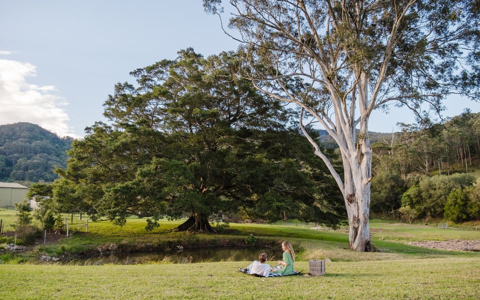 Ekhaya Homestead Berry