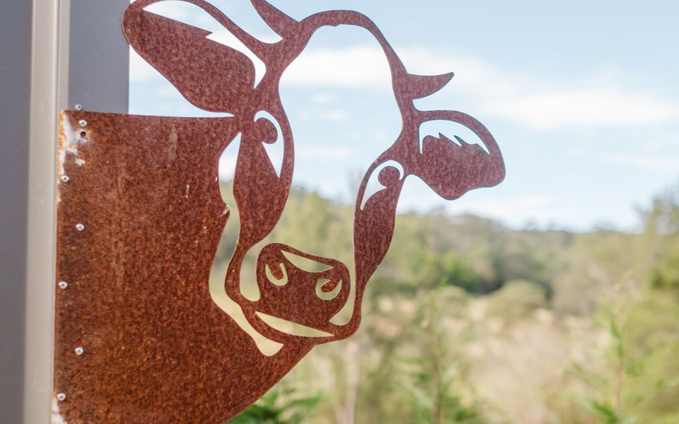 Ekhaya Homestead Berry