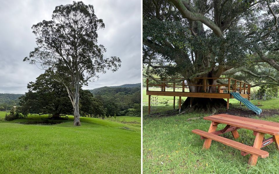 Ekhaya Homestead Berry