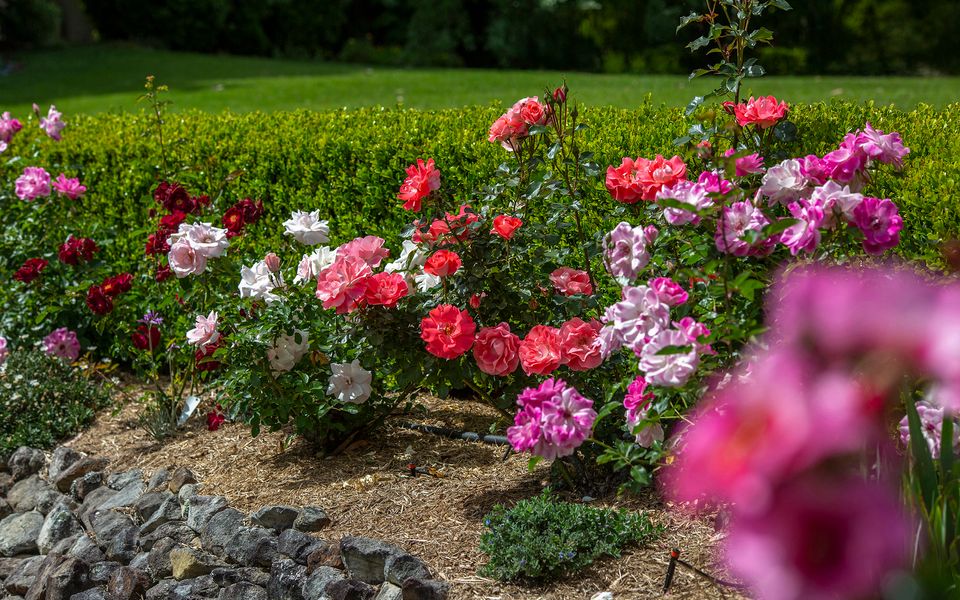 Mulgrave House – By Latitude South Coast