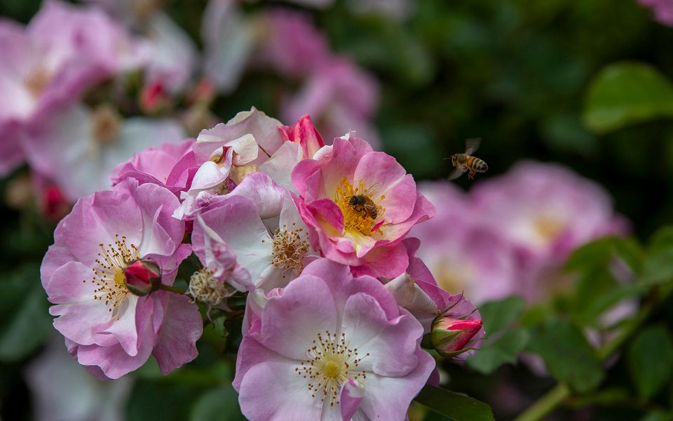 Mulgrave House – By Latitude South Coast