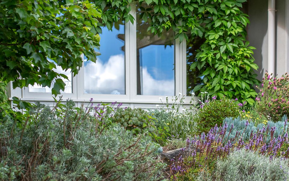 Mulgrave House and Cottage – By Latitude South Coast